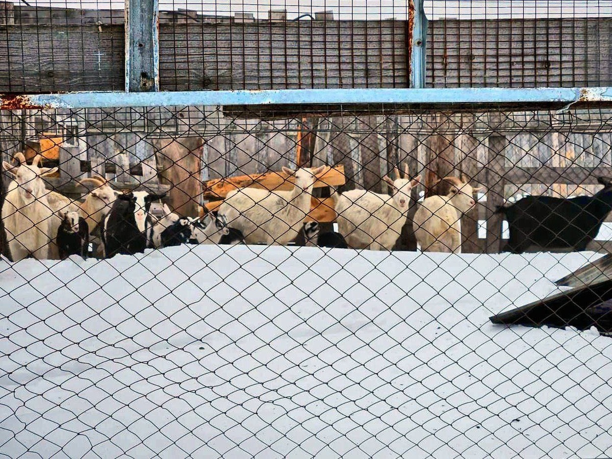    Фото: МЧС России