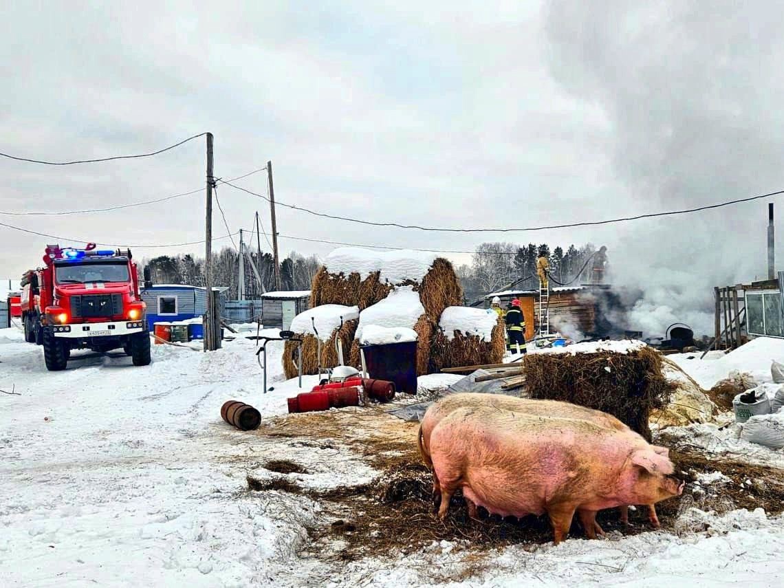    Фото: МЧС России
