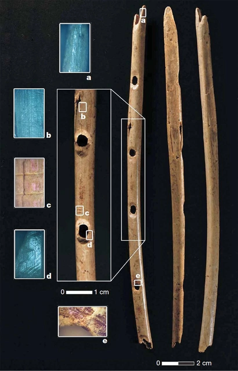 Флейта из пещеры Холе-Фельс из костей птицы