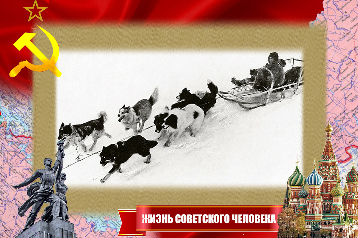 На собачьей упряжке