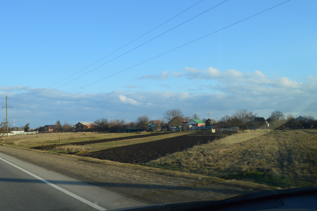 Фото автора. 05.02.2025. На краю хутора.