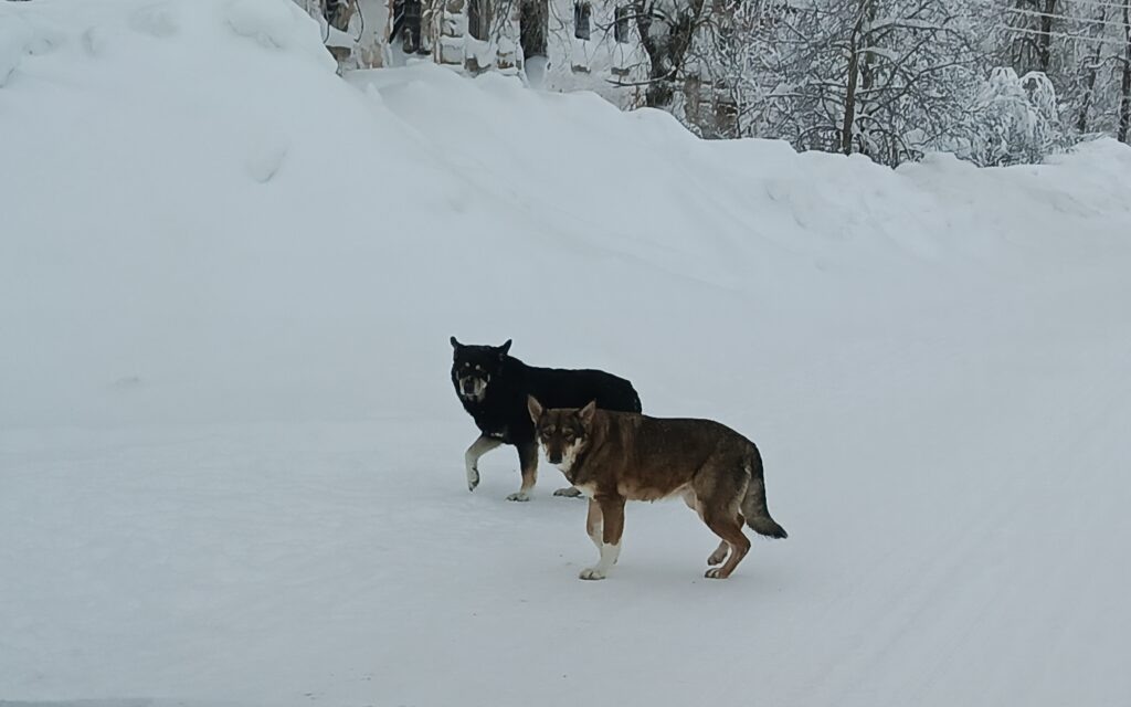    Фото: В курсе.ру Полина Анкушина