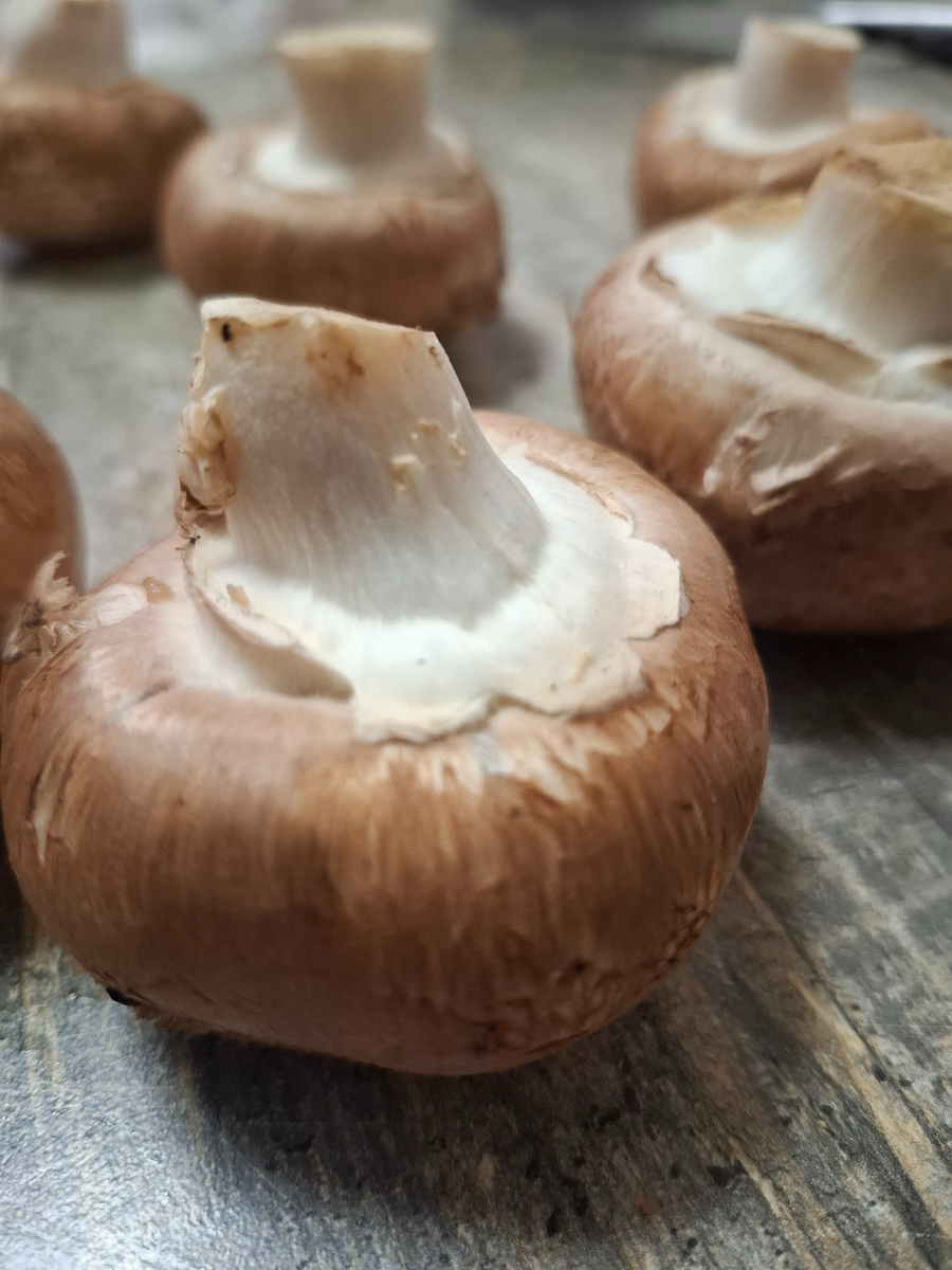 Фото автора.Королевские грибы.