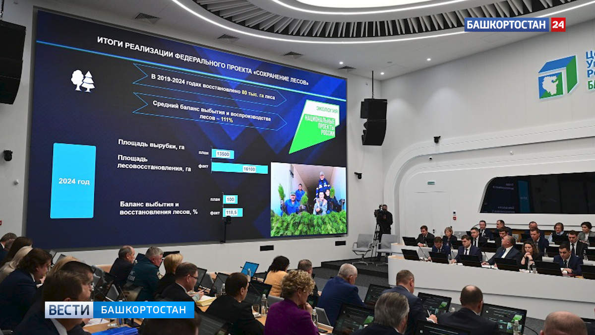    В Башкортостане объём лесовосстановления на 18 процентов превышает объём вырубки