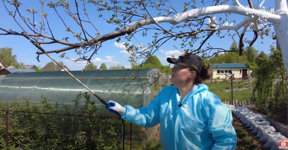 чем обработать сад весной от вредителей и болезней