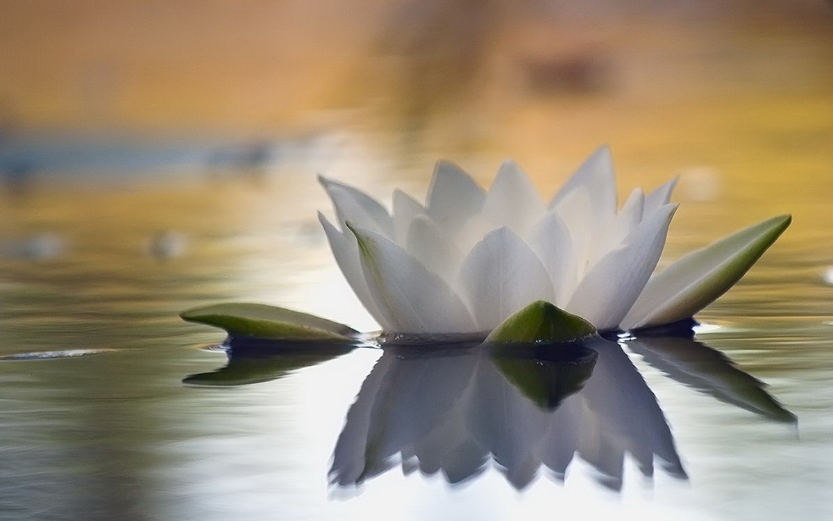 фото взято из интернета