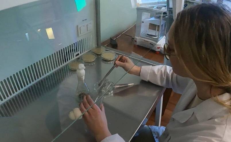    Источник фото: