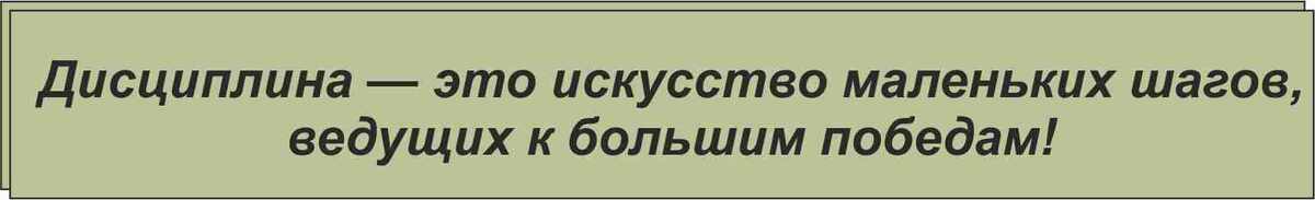 Дисциплина