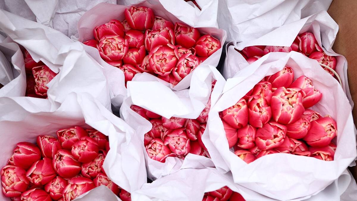    Фото: Ярослав Чингаев / АГН Москва