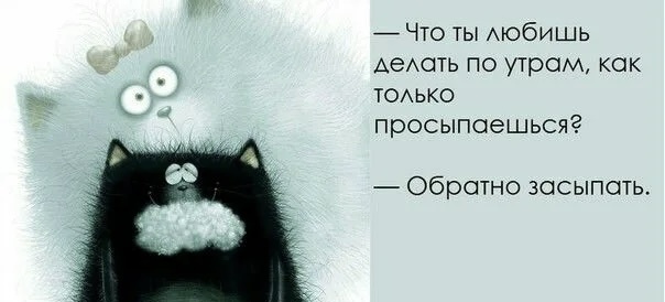 Утро наступило…