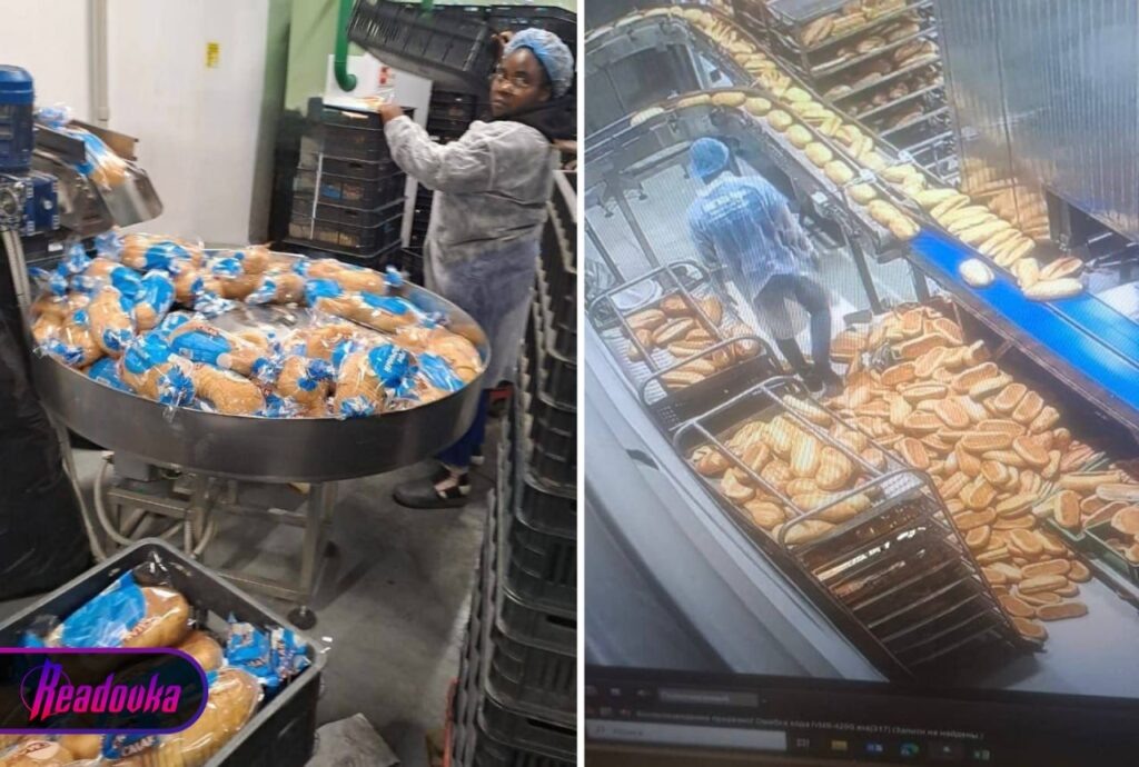 Правда и эмоции По рекламе: @raulsmyr Прислать новость @BazaBazon_Bot Если вы надеетесь на обратную связь: открывайте свои контакты Регистрация в РКН: https://knd.gov.ru/license?id=676d14dc8e552d6b542963cd&registryType=bloggersPermission (@Baza) — Telegram