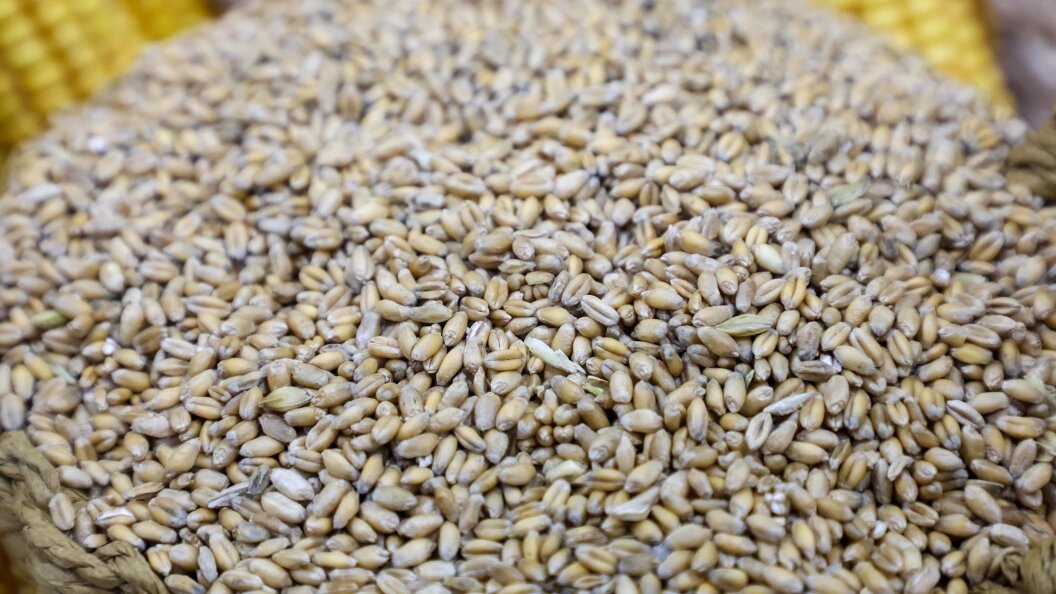    Фото: Belkin Alexey/news.ru/Globallookpress