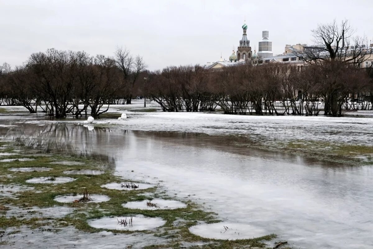    Эксперты бьют тревогу.