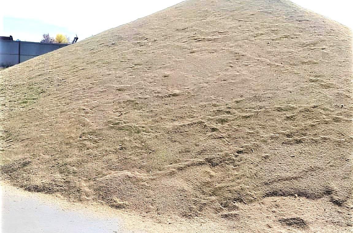 Фото: АПК Новости