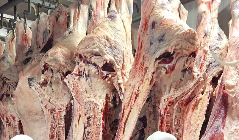 Фото: пресс-служба МСХ РК
Фото: пресс-служба МСХ РК
