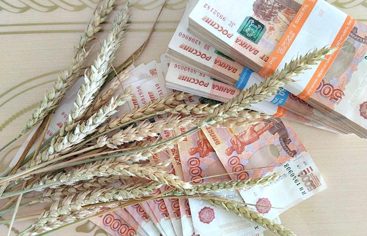 Фото: АПК Новости