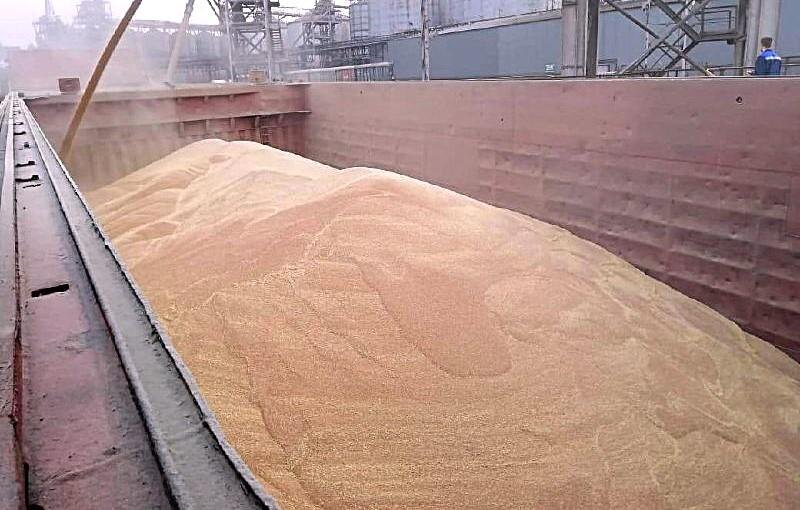 Фото: пресс-служба Ростовского филиала Центр оценки качества зерна