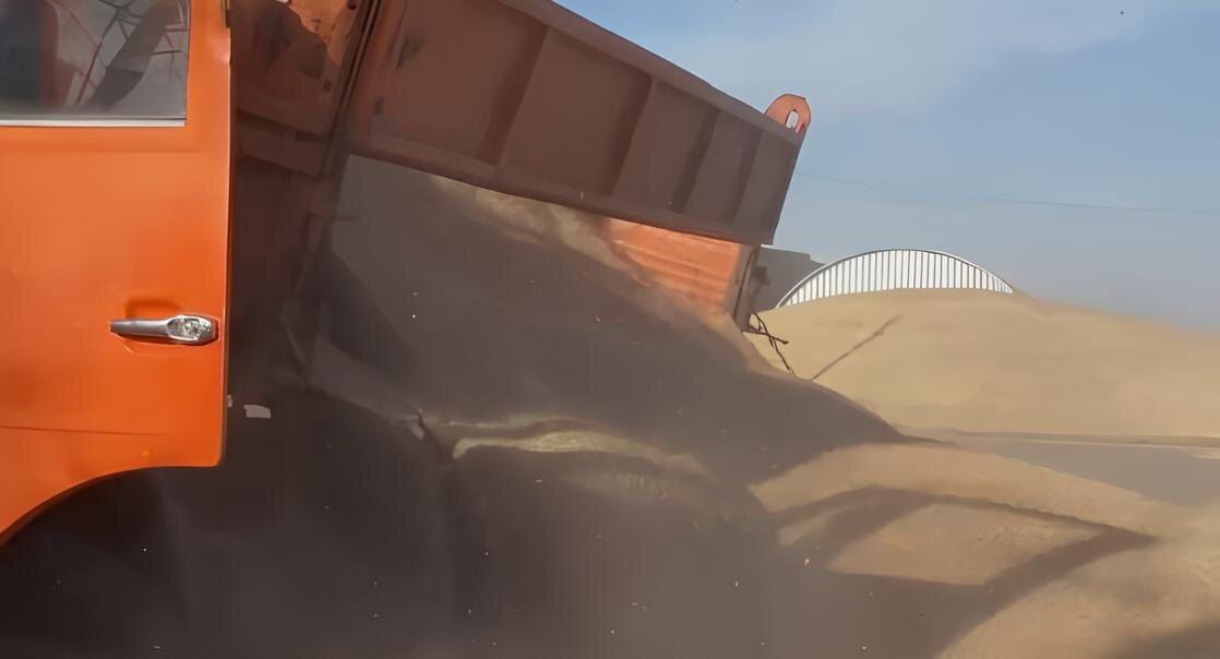 Фото: АПК Новости