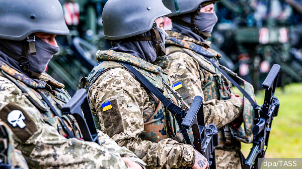     Фото: dpa/TASS   
 Текст: Дмитрий Зубарев