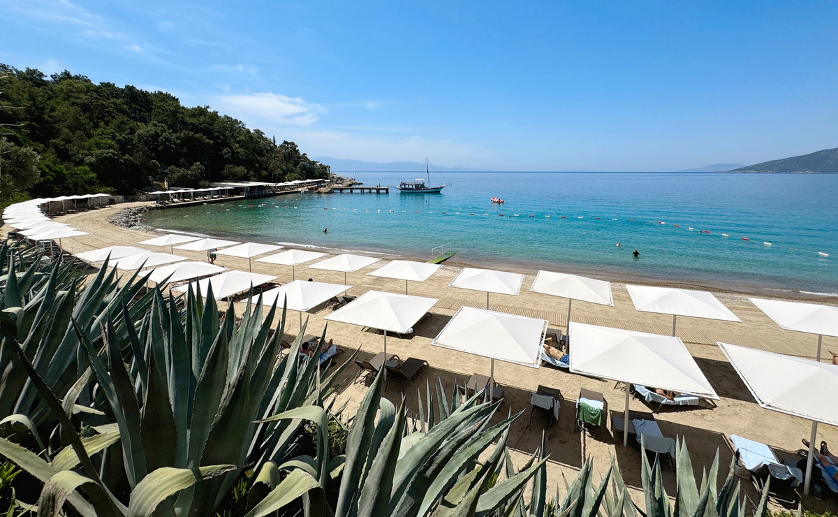 Реклама. Смагина Ксения Михайловна. ИНН 470305812482. erid: 2Vtzqv5JJiH