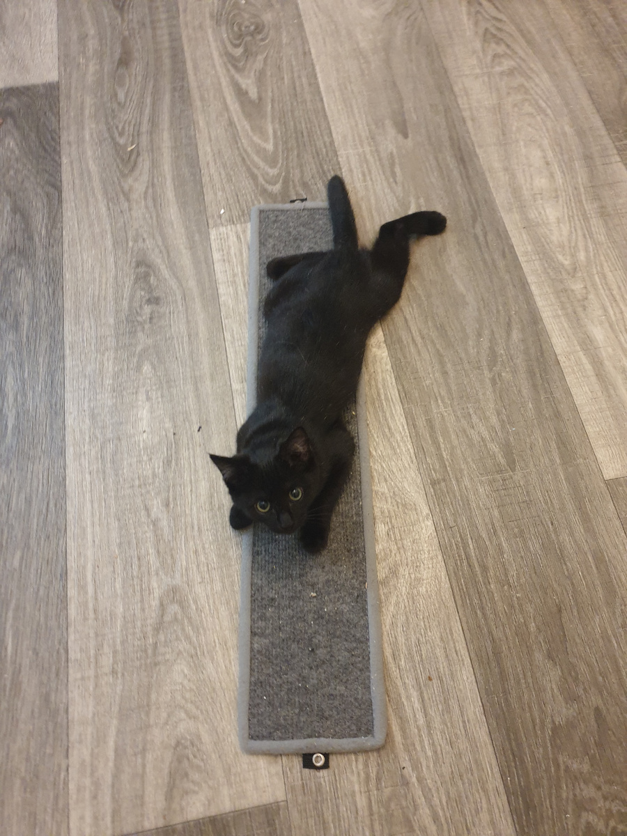 Алиса и Йога.