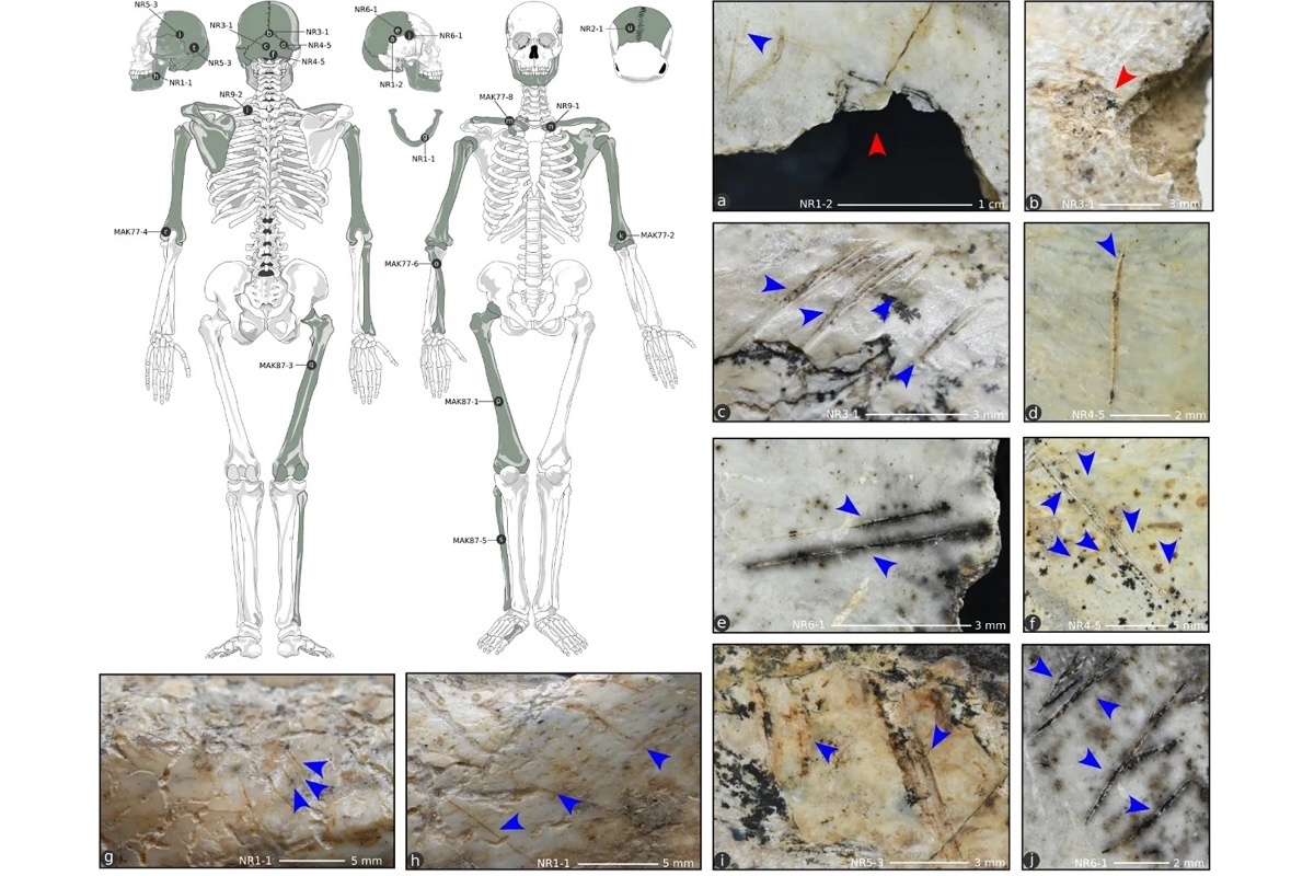 iphes / Facebook (входит в корпорацию Meta, признана экстремистской и запрещена в России)📷Изменения, вызванные человеком на черепных и посткраниальных останках