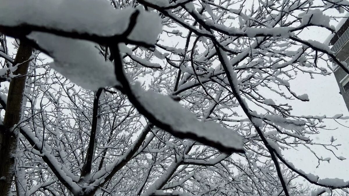     Источник: prmira.ru