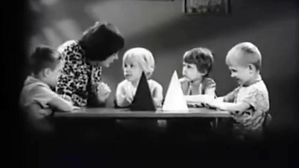 Фото: © Кадр из программы "Как устроен мир", РЕН ТВ