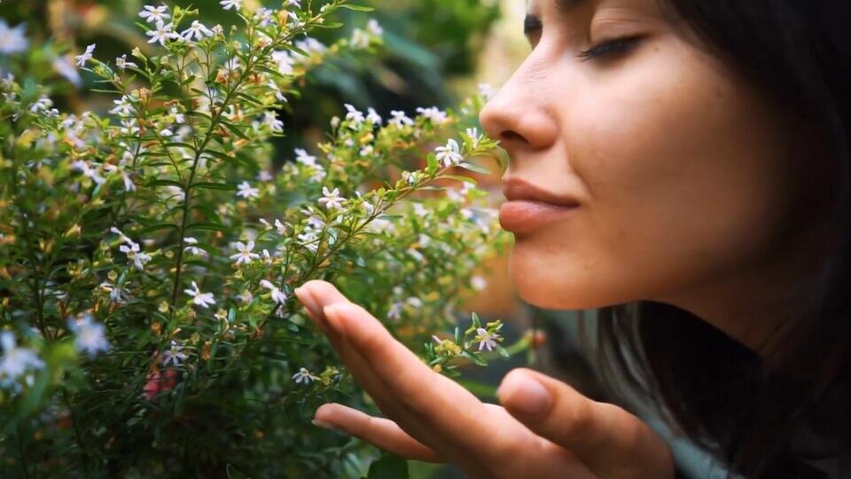 Фото: © Кадр из программы "Невероятно интересные истории", РЕН ТВ
