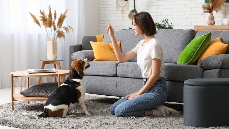 Фото: 123RF/serezniy