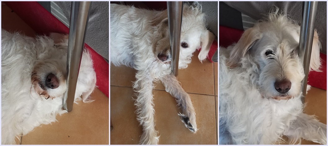 Да, ему так удобно : )