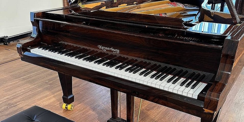    Рояль фирмы Kayserburg появился в «Дворянском собрании»