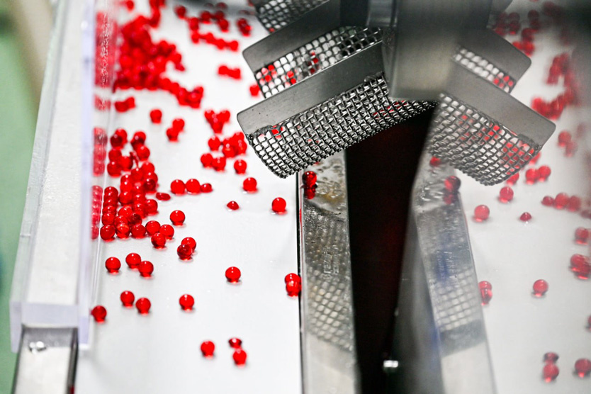 Фото: Мэр Москвы Сергей Собянин / Telegram