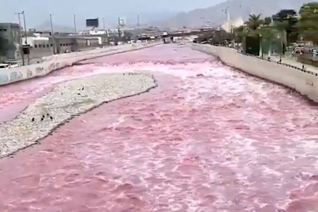    Фото: lenta.ru Георгий