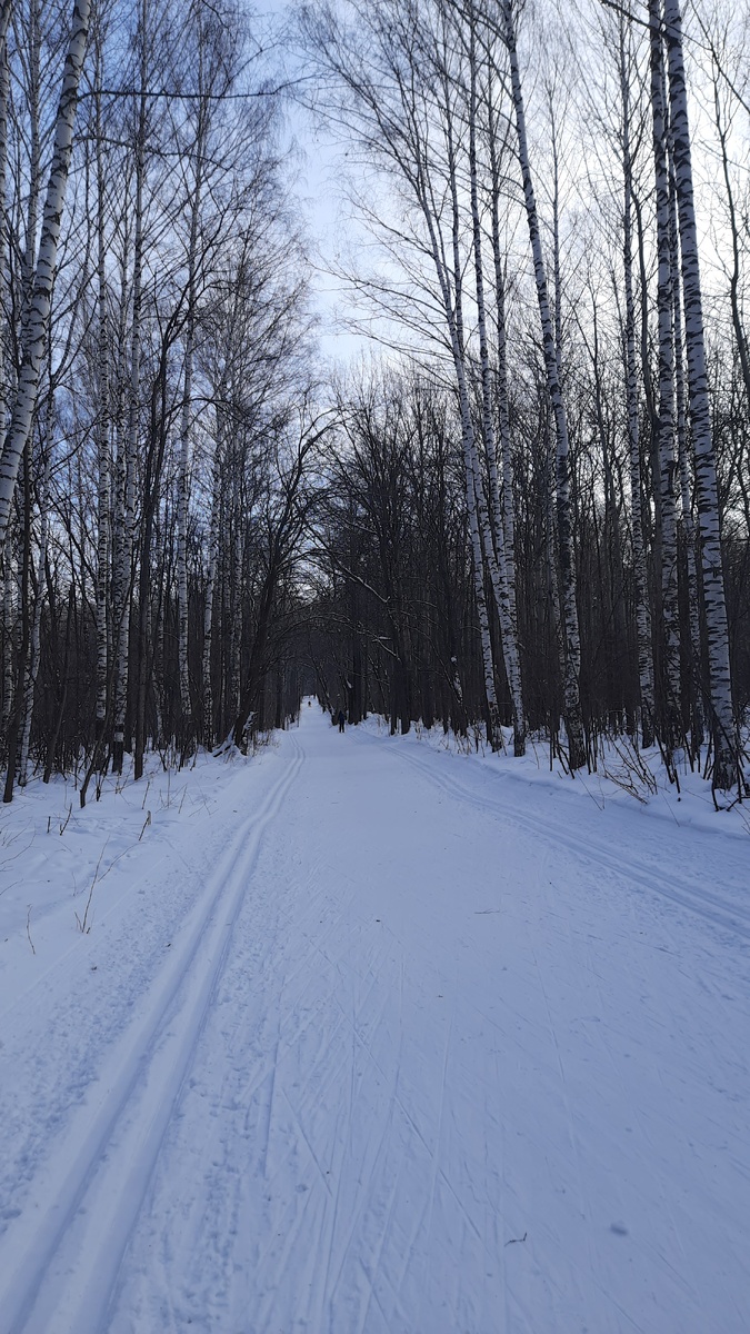 Такая вот красота