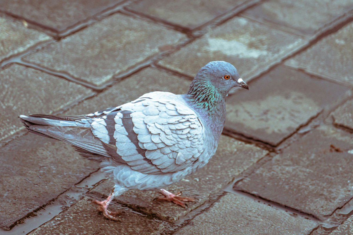 Картинка с бесплатного фотостока https://unsplash.com, автор Mohamed Marey