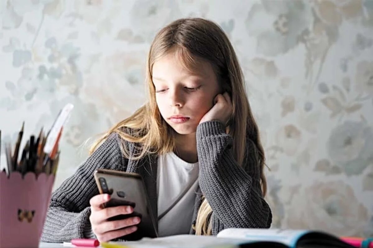    Нижегородский Минобр объяснили сбои в онлайн-дневнике использованием VPN