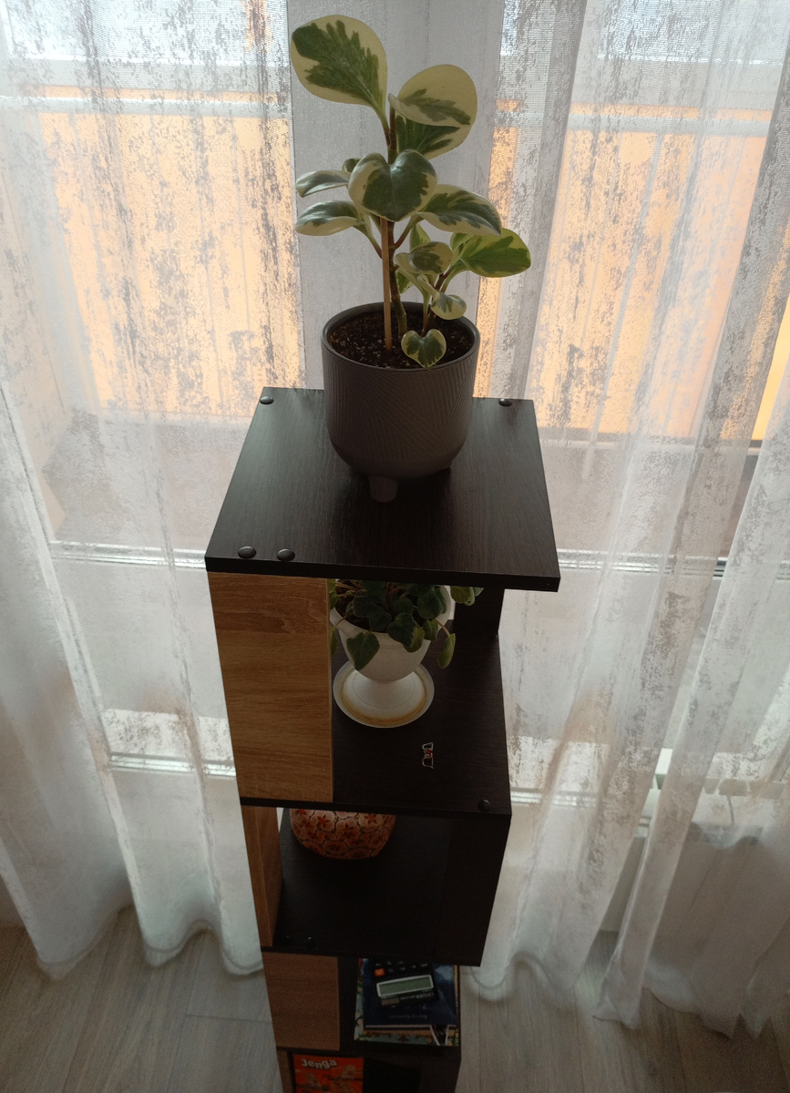 Мой стеллаж