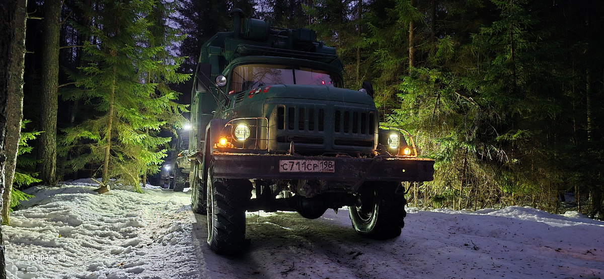 Ночью в лесу очень красиво