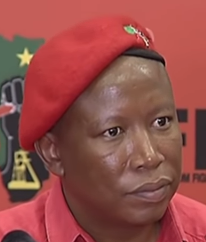 Джулиус Малема - самый яркий Южноафриканский политик. Фото из Википедии