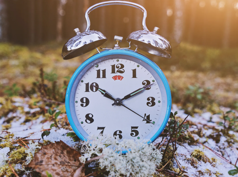 картинка Яндекс