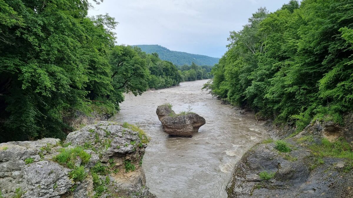      фото из открытых источников - поиск в сети Интернет