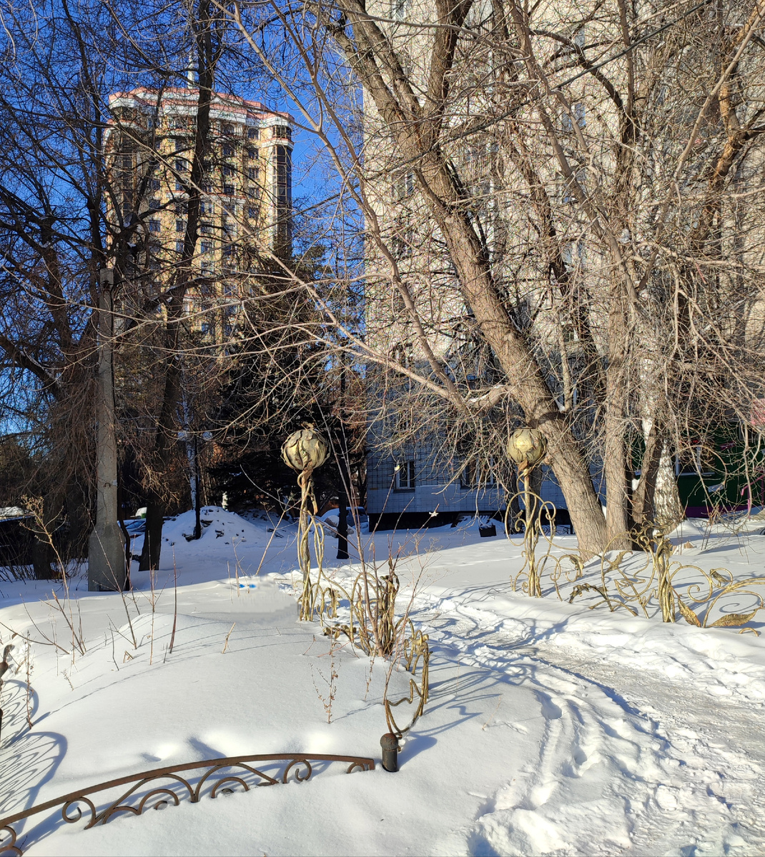 Вот эта дорога, обрамленная золотыми яблоками и есть дорога в рaй ☺️