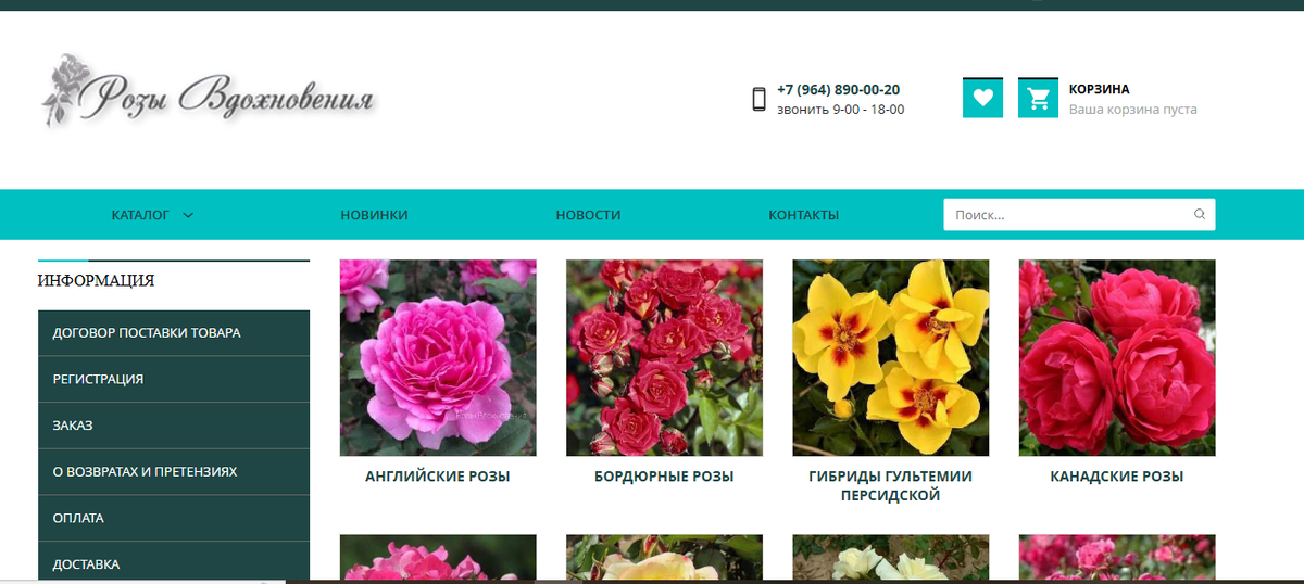 скрин интернет страницы