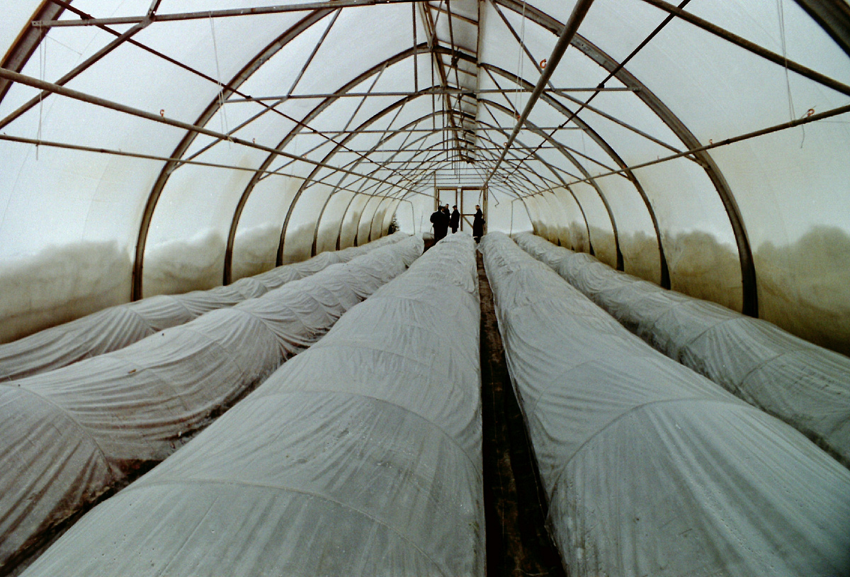 Фото: Victor Lisitsyn/Global Look Press