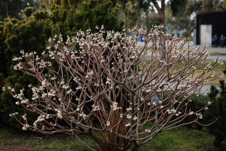 Фото: t.me/sirius_todaay