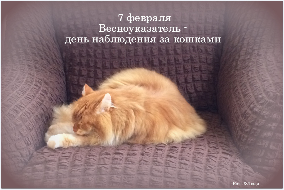 Коллаж автора