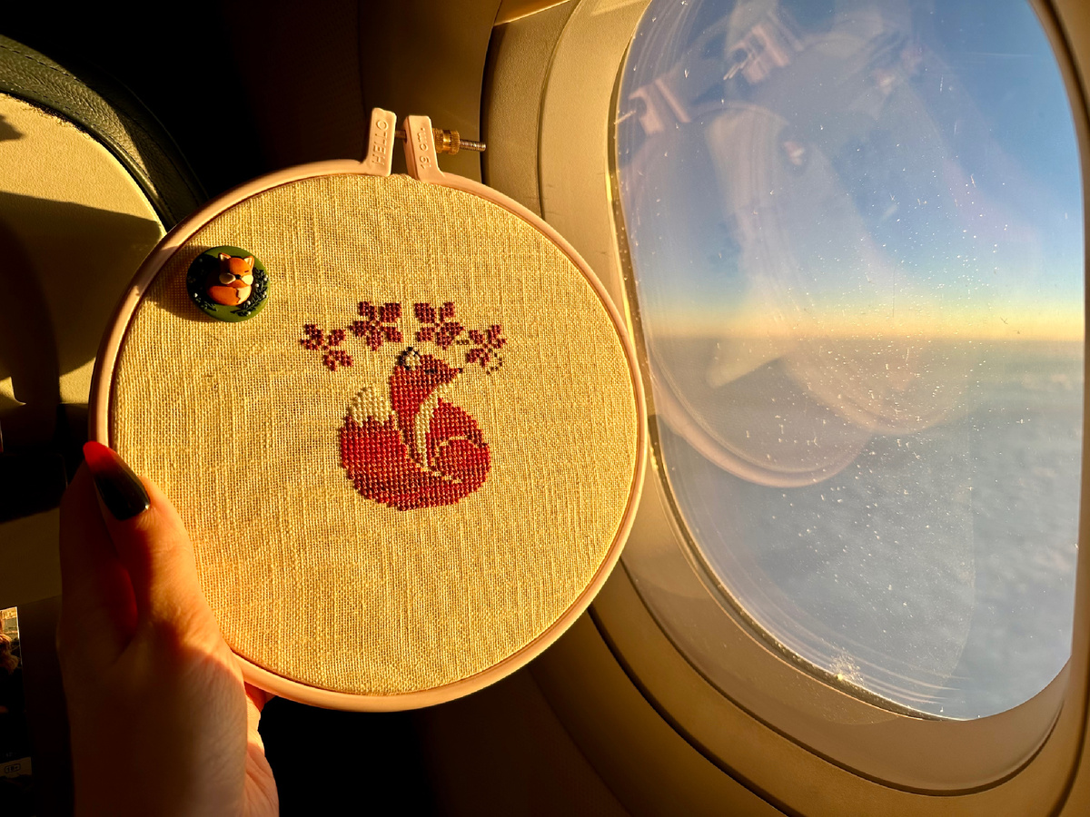 С лисами тоже летали в ноябре