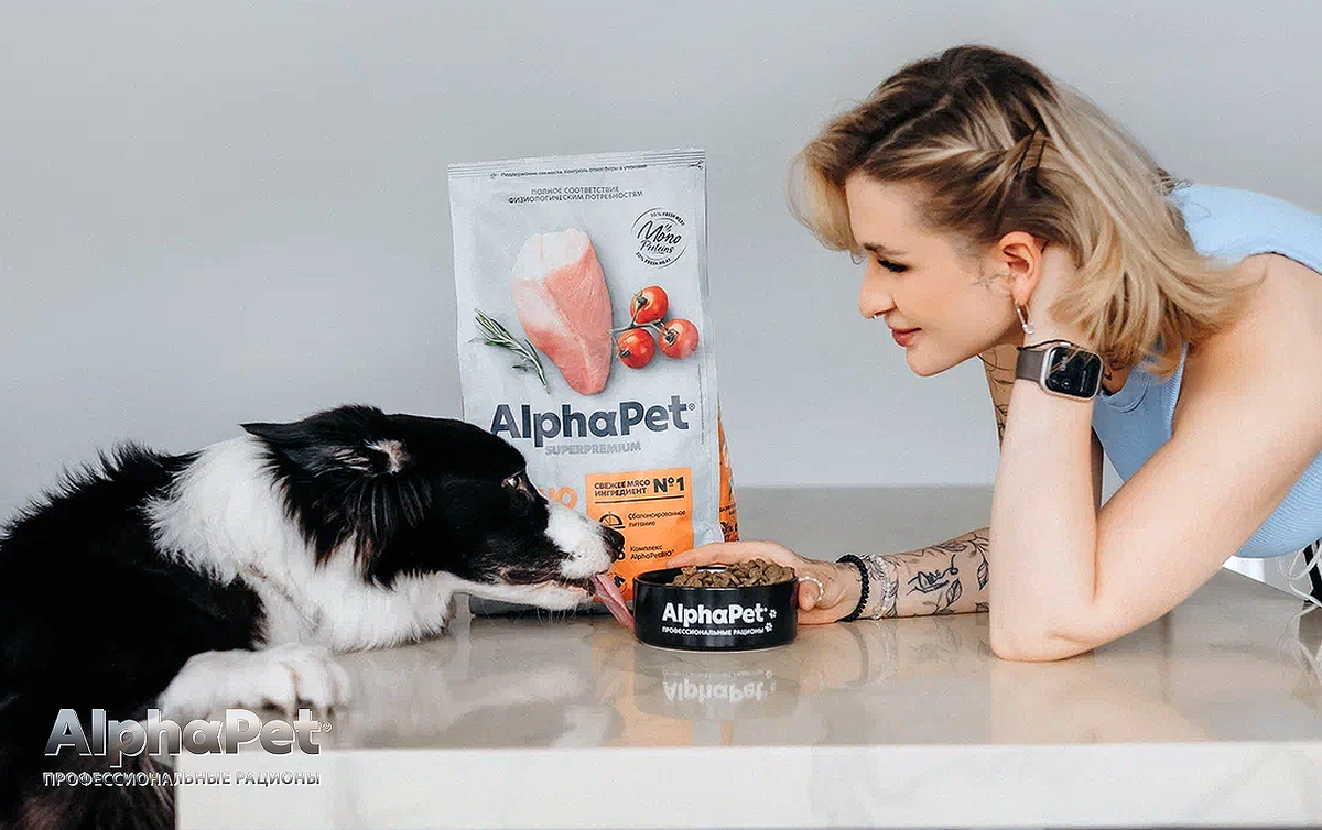 AlphaPet приходит на помощь / Изображение: AlphaPet