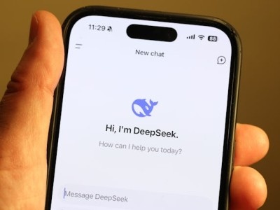    В приложении DeepSeek обнаружили массу уязвимостей